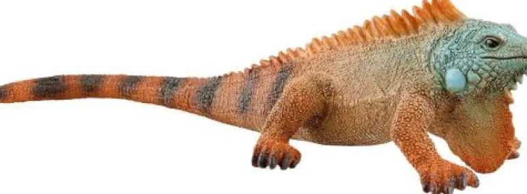 Schleich® Wild Life - Leguan | Teddy Toys Kinderwelt