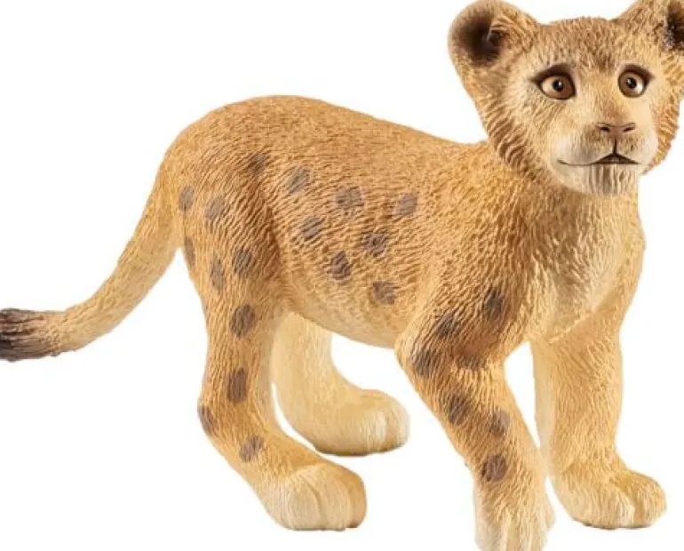 Schleich® Wild Life - Löwenjunges | Teddy Toys Kinderwelt