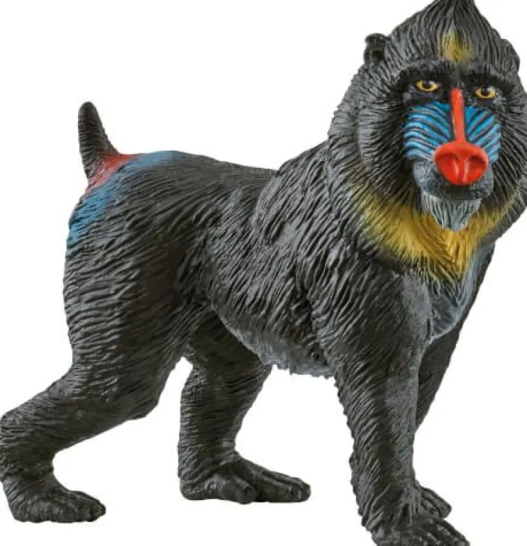 Schleich® Wild Life - Mandrill | Teddy Toys Kinderwelt