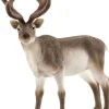 Schleich® Wild Life - Rentier | Teddy Toys Kinderwelt