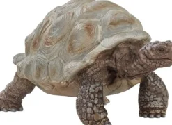 Schleich® Wild Life - Riesenschildkröte | Teddy Toys Kinderwelt
