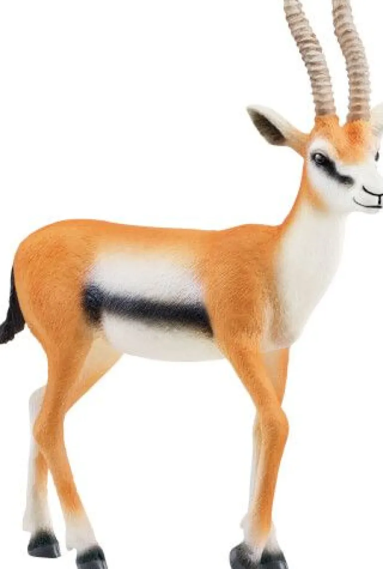 schleich® Wild Life 14861 Thomson Gazelle | Teddy Toys Kinderwelt