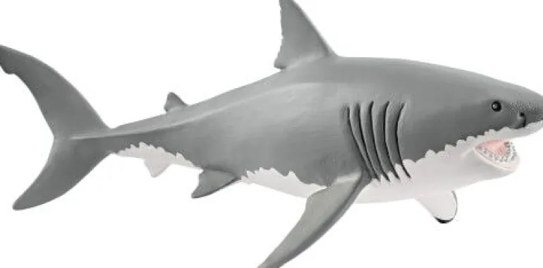 Schleich® Wild Life - Weißer Hai | Teddy Toys Kinderwelt