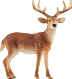 Schleich® Wild Life - Weißwedelhirsch | Teddy Toys Kinderwelt