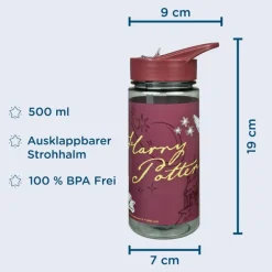 Scooli - AERO Trinkflasche Harry Potter | Teddy Toys Kinderwelt