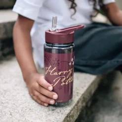 Scooli - AERO Trinkflasche Harry Potter | Teddy Toys Kinderwelt