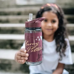 Scooli - AERO Trinkflasche Harry Potter | Teddy Toys Kinderwelt