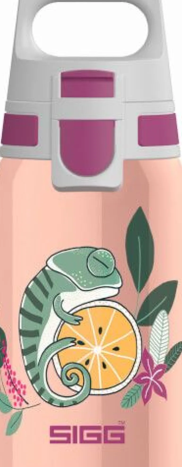 SIGG Shield One Flora 0.5L mit WMB ONE TOP, BPA frei, Auslaufsic | Teddy Toys Kinderwelt