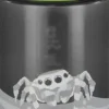Step by Step - Trinkflasche Jumping Spider, Grau | Teddy Toys Kinderwelt