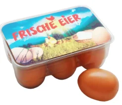 Tanner - 6 Eier in der Box | Teddy Toys Kinderwelt