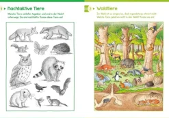 Tessloff - Extradicker Rätselspaß für Schulkinder | Teddy Toys Kinderwelt