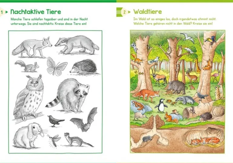 Tessloff - Extradicker Rätselspaß für Schulkinder | Teddy Toys Kinderwelt