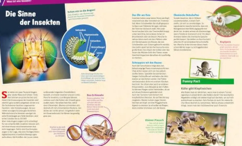 Tessloff WAS IST WAS - Insekten, Überlebenskünstler auf sechs Beinen | Teddy Toys Kinderwelt