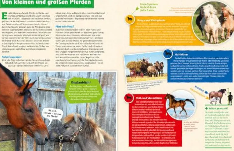 Tessloff WAS IST WAS - Pferde und Ponys | Teddy Toys Kinderwelt