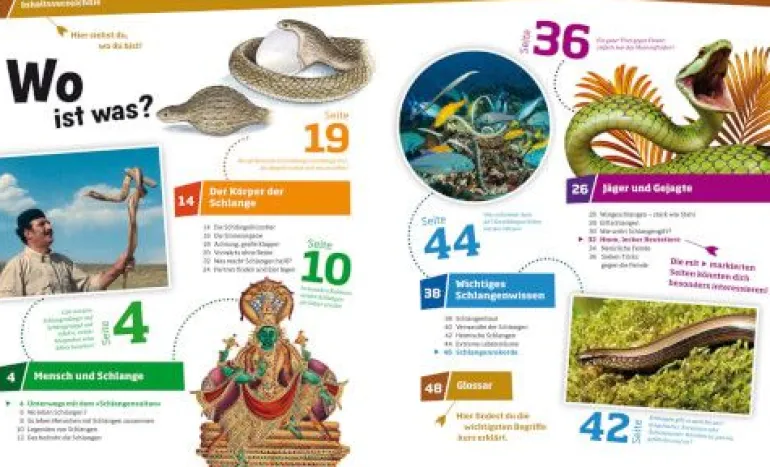 Tessloff WAS IST WAS - Schlangen, Jäger mit dem sechsten Sinn | Teddy Toys Kinderwelt