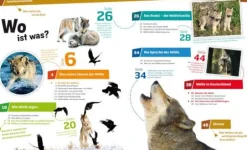 Tessloff WAS IST WAS - Wölfe, Im Revier der grauen Jäger | Teddy Toys Kinderwelt