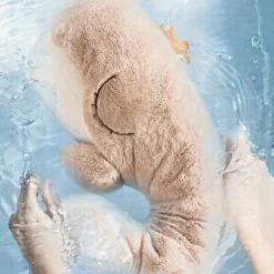 Topbright - Schlaf Gut Wal Einschlafhilfe | Teddy Toys Kinderwelt