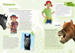 !!! Verdacht auf dem Reiterhof | Teddy Toys Kinderwelt