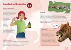 !!! Verdacht auf dem Reiterhof | Teddy Toys Kinderwelt