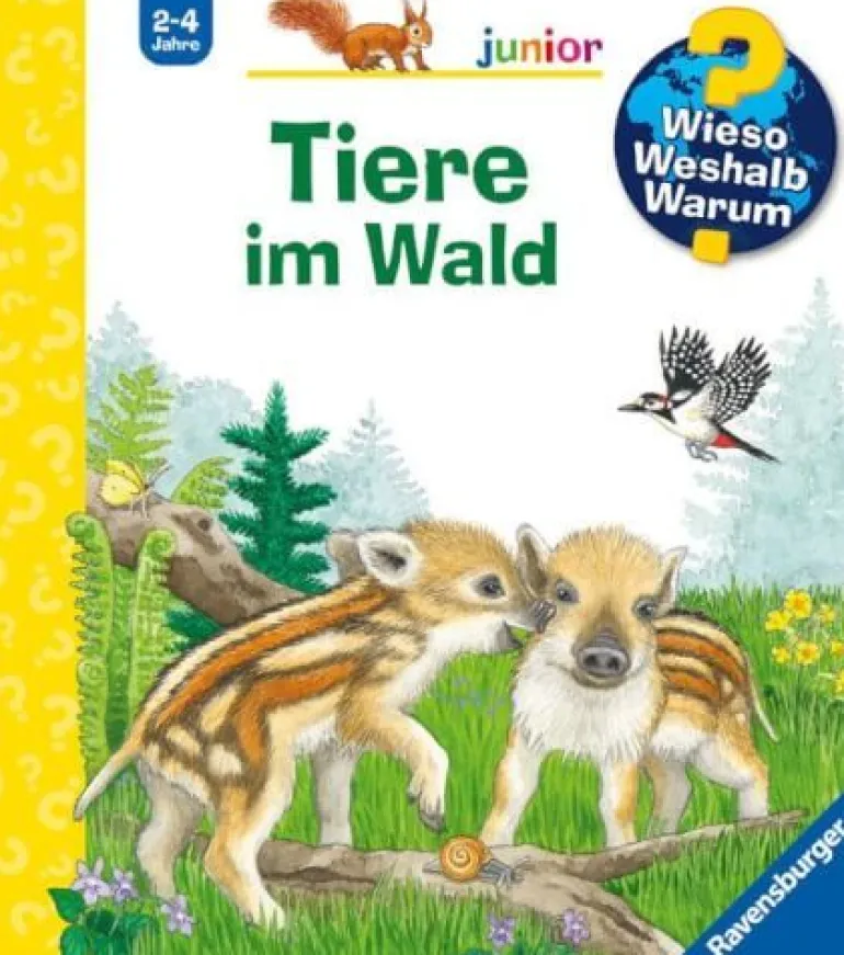 Wieso? Weshalb? Warum? junior, Band 77: Tiere im Wald | Teddy Toys Kinderwelt